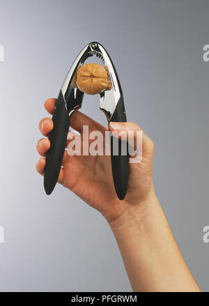 Main tenant Casse-noisette, agrippant une noix. Banque D'Images