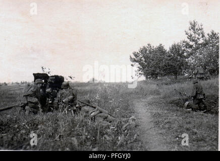 Des troupes Waffen SS et canon antichar près de Luga Août 1941 sur le front russe , d''une photo par un membre de cette unité Banque D'Images