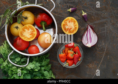 Les tomates fraîches et le poivre dans la casserole. Image colorée avec un assortiment de tomates, poivrons colorés différents, le Chili, l'ail et le sel. Style rustique. Banque D'Images