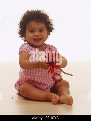 Baby Girl sitting on floor, portant robe vichy rose et blanc avec des fleurs en tissu sur la poitrine et poches, holding Gerbera daisy. Banque D'Images