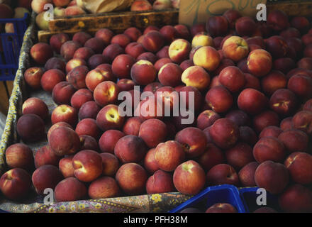Italie, Toscane, nectarines fraîches à un stand de marché Banque D'Images