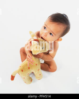 Baby holding a toy girafe, high angle view Banque D'Images