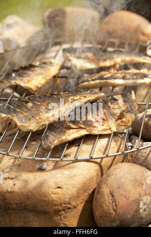 Bar grillé Banque D'Images