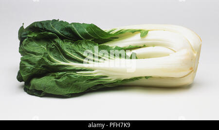 Pak Choi Banque D'Images