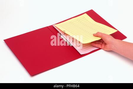 Main tenant le document sur la relieuse, close-up Banque D'Images