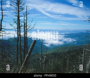 USA, Ohio, Great Smoky Mountains National Park, vue panoramique de nuages bas sur les pics, front view Banque D'Images