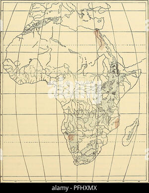 . Medicinisch-Naturwissenschaftlichen Denkschriften der Gesellschaft zu Jena. II Die Bienen Afrikas nach dem Stande Kenntnisse unserer heutigen. Megachile venusta Sm. - Südafrika, Ostafrika und Spanien. » Maxillosa Guer.- Südafrika, Ostafrika und Abessinien. L'afra Coelioxys. Lep- Südafrika und Spanien. decipiens Spin. - Kap, Transvaal und Spanien. 93. Karte 5. Coordonnées géographiques Verbreitung der Biene Megachile patellimana Spin. { = M. xanthopus Gerst.). Cette Aehnlichkeit REEE. Gleichheit besagter Arten hat offenbar ihren Grund dans den gleichen- Milieu verhältnissen des Klima der, Bodenbeschaffenhe Banque D'Images