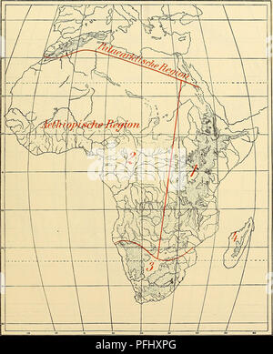 . Medicinisch-Naturwissenschaftlichen Denkschriften der Gesellschaft zu Jena. Die Bienen Afrikas nach dem Stande Kenntnisse unserer heutigen. Zur ersten Gruppe würden sind (vikariierende Anthophora Formen) : basalis (Kap) und A. semirufus (Aegypten). Xylocopa scioensis (Kap) und X. olivacea (Ober-Aegypten). Xylocopa divisa (Rhône-Alpes) und X. caffra (Ober-Aegypten). Melitta v. capensis (KAP) et M. C. sakkarae (Griechenland). 9i. Région Paläarktische Jenaische Denkschriften. XIV. Karte 3. Dans Tiergeographische Regionen Afrika. 2. westafrikanischer 4. madagassischer JE Schultze, Forschungsreise dans Banque D'Images