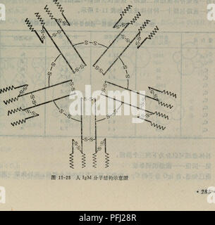 . Dan bai zhi fen zi ji chu. botanique. . Veuillez noter que ces images sont extraites de la page numérisée des images qui peuvent avoir été retouchées numériquement pour plus de lisibilité - coloration et l'aspect de ces illustrations ne peut pas parfaitement ressembler à l'œuvre originale.. tao sun Wei Deng. ren min jiao yu chu ban elle Banque D'Images