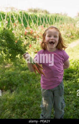 Girl holding freshly picked carrots Banque D'Images