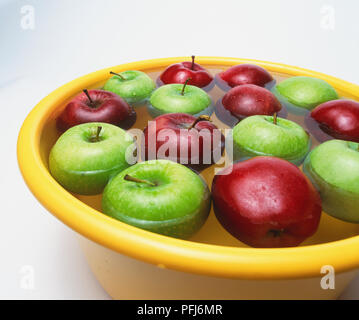 Bol de pommes (Malus) flottant dans l'eau Banque D'Images