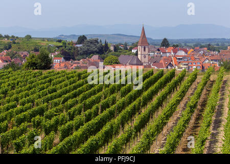 Voir plus de Endingen am Kaiserstuhl entouré de vignobles , Allemagne. Banque D'Images