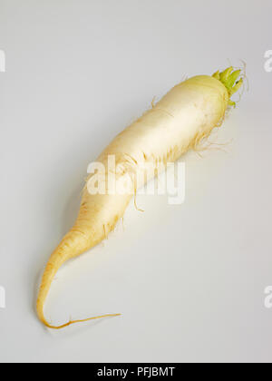 Radis daikon, high angle view Banque D'Images