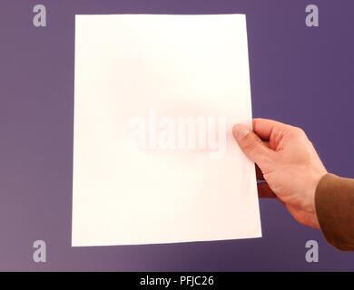 Man's hand holding feuille de papier vierge Banque D'Images