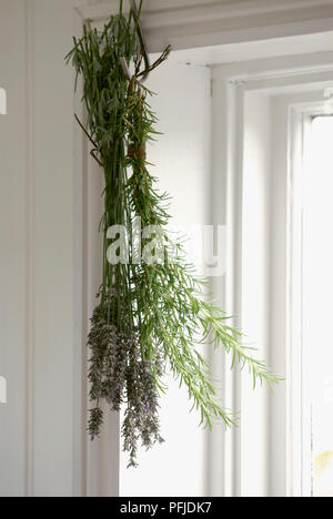 Romarin et lavande accrochée par fenêtre de cuisine Banque D'Images