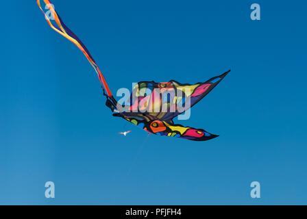 Cerf-volant en forme de papillon dans le ciel bleu, close-up Banque D'Images