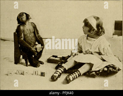 . Denkende Tiere : Beiträge zur Tierseelenkunde auf Grund der kluge eigener Versuche ; Haus und meine Pferde und Muhamed Zarif ; mit eigenen Abbildungen nach Aufnahmen. Chevaux ; intelligence animale ; la formation des animaux. Lautäußerungen. 229 neuerdings auch bemüht hat die menschliche Sprache, vous par beizubringen. Leider ist in Deutschland über seine Versuche nur wenig bekanntgeworden Zuverlässiges und ich sehe ainsi, mich auf Zeitungsberichte angewiesen, Garner nach fünfjähriger en zufolge Studienreise Begriffe steht im innersten Afrika, aus dem begabtesten Zöglinge mit sechs senneur wieder Neu- yor dans Banque D'Images