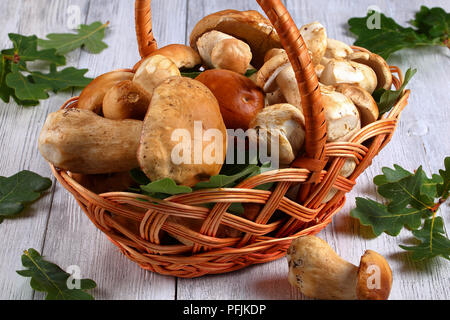 Produits frais bio cèpes dans panier en osier sur la table en bois avec feuilles de chêne vert sur l'arrière-plan, Vue de côté d'en haut, close-up Banque D'Images