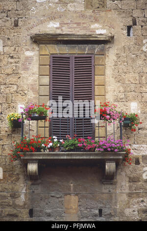 L'Italie, la Toscane Centrale, balcon français avec rose, rouge et blanc de fleurs et de volets en bois fermée, Close up Banque D'Images