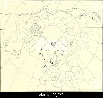 . L'Ingolf danois-expédition. Les animaux marins -- les régions de l'Arctique ; les expéditions scientifiques ; les régions de l'Arctique. 193 hiiufig ASCIDIACEA Handy ; ist sie im ganzen Spitzbergengebiet audi, insbesondere Stor Fjord. Audi en siidost- lidien der Nordsee, bei Helgoland, scheint sie nicht selten zu sein. P. corrugata ist in den meisten Gegenden, arktisdien Hocharktis tant dans der, wie im niederarktisch boreoarktischen nadigewiesen-Gebiet,. Wir kennen sie aus der Barrow Strasse und aus der Baffins Bay, von beiden Kiisten Gronlands auf der Westseite, Upemivik nordlich bis auf der Ostseite nur aus dem Scores Banque D'Images