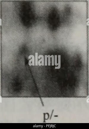 Ce texte chinois aborde la botanique, en se concentrant sur les principes des études végétales et leurs fonctions. Le livre approfondit la physiologie, la classification et les techniques de culture des plantes, en mettant l'accent sur leurs applications pratiques en agriculture et en horticulture. Banque D'Images