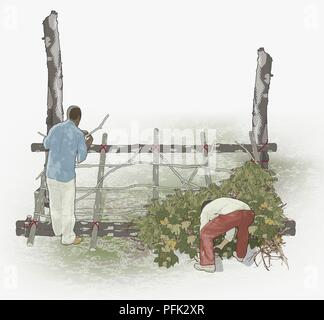 Illustration numérique d'hommes qui sillonnent les gaules et couvrant avec des feuilles de toit Banque D'Images