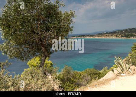 Vue panoramique sur la plage d''Agios Ioannis à péninsule Sithonia, Halkidiki, Macédoine Centrale, Grèce Banque D'Images