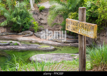 Safari Kilimandjaro Disneys Animal Kingdom en parc à thème, Walt Disney World, Orlando, Floride. Banque D'Images