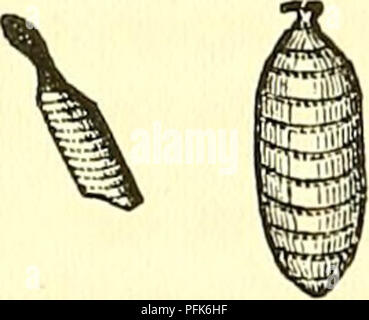 . Dadd's théorie et pratique de la médecine vétérinaire et de la chirurgie. La médecine vétérinaire. . Veuillez noter que ces images sont extraites de la page numérisée des images qui peuvent avoir été retouchées numériquement pour plus de lisibilité - coloration et l'aspect de ces illustrations ne peut pas parfaitement ressembler à l'œuvre originale.. Dadd, George H. , b. 1813. [From old catalog]. Cincinnati, R. W. Carroll &AMP ; co. Banque D'Images