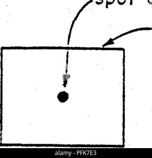 . Repos végétatif, hydrochimiques et microbiologiques des effets d'un parc naturel et un milieu humide artificiel sur le contrôle du drainage minier acide . Mine Drainage ; drainage minier acide ; les zones humides. 5.1.2 Tracer un retard de flux et des traceurs traceurs de dilution ne sont pas parfaitement conservateur et la concentration de la distribution d'une substance soluble dans l'eau qui est transporté dans un milieu poreux par les eaux souterraines sont touchées par sorption, diffusion moléculaire et de la dispersion hydrodynamique (Gustafsson et Klockars 1981). L'adsorption et l'absorption de sorption comprend les processus. Les nombreux processus chimiques qui contribuent à dors Banque D'Images