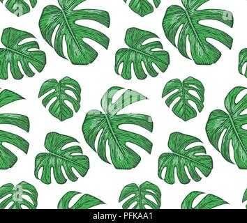 Modèle sans couture avec philodendron plantes, feuilles vertes cute wallpaper. Imprimer élégant vecteur isolé sur fond blanc. Modèle d'art délicat Illustration de Vecteur