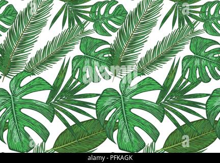 Modèle de vecteur Seamless diverses feuilles de palmier tropical. Le feuillage vert en arrière-plan sur un blanc isolé Illustration de Vecteur