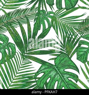 Profil de transparente vecteur feuilles de palmier tropical. beau feuillage arrière-plan de l'Areca, sagou, howea, philodendron en aquarelle de style sur un isol Illustration de Vecteur