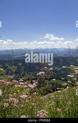 L'avis de près de Steibis Hochgrat, Allgaeu, Bavaria, Germany Banque D'Images