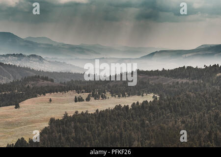 Lamar Valley, Yellowstone Banque D'Images