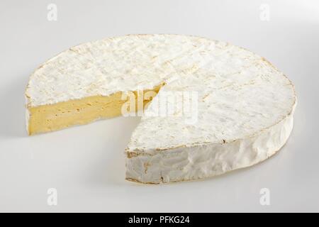 La roue des French Brie de Meaux AOC Fromage au lait de vache Banque D'Images