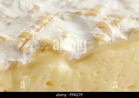 Français doux Brie de Meaux AOC Fromage au lait de vache, close-up Banque D'Images