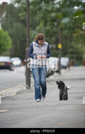 Woman walking down street avec Cocker Anglais chien en laisse Banque D'Images