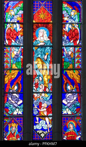 L'Argentine, La Plata, Catedral de la Inmaculada Concepcion, vitrail représentant l'Ancien et du Nouveau Testament Banque D'Images