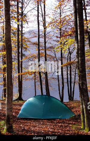 Tente dôme aigu dans l'aménagement forestier sur les feuilles tombées en dessous de grands arbres overloking lake Banque D'Images