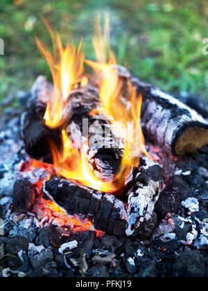 Des flammes et des braises brûlantes d'un feu de camp Banque D'Images