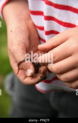 Boy holding un ver de terre dans la main, close-up Banque D'Images