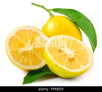 Citron frais isolé sur fond blanc.Tropical Fruit feijoa sellowiana Acca isolé sur fond blanc. Banque D'Images