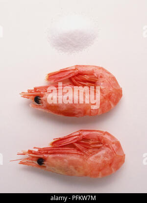 Deux Crevette rose (Malacostracans), close up. Banque D'Images