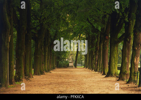 Belgique, Bruxelles, Parc du Cinquantenaire, chemin bordé d'arbres. Banque D'Images