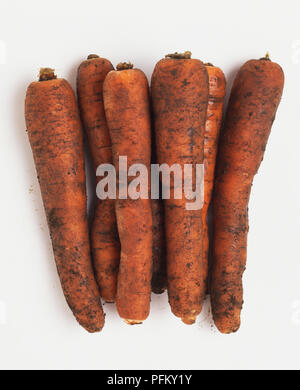 Six carottes souillés, Close up Banque D'Images