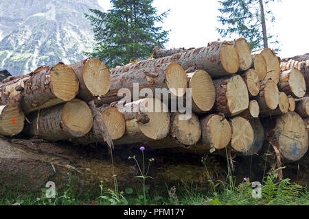 Amas de troncs d'arbres coupés près de Baad, peu vallée Walser, Autriche Banque D'Images