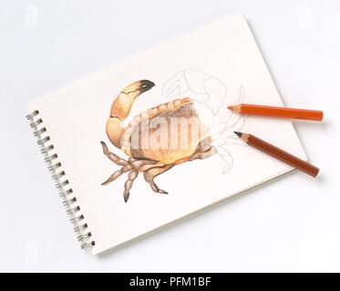 Dessin d'un crabe sur un cahier, à l'aide de crayons Banque D'Images