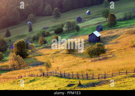 Lever du soleil d'été en Bucovine, Roumanie Banque D'Images