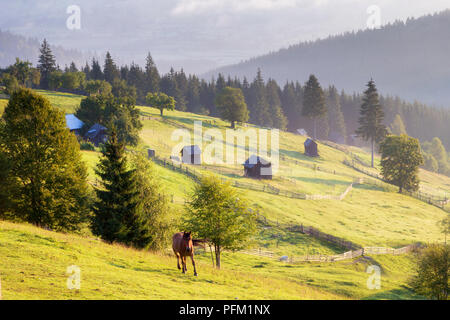 Lever du soleil d'été en Bucovine, Roumanie Banque D'Images